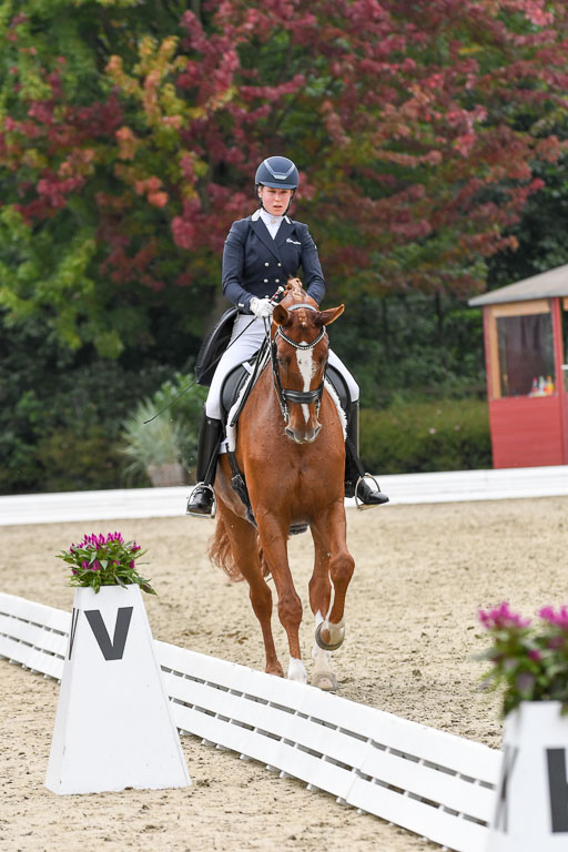 Anakenenhof    Dressur  25.08.2023 | Anakenenhof Prfg 2_335 