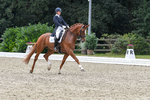 Anakenenhof    Dressur  25.08.2023 | Anakenenhof Prfg 2_342 