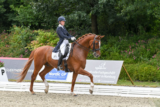 Anakenenhof    Dressur  25.08.2023 | Anakenenhof Prfg 2_343 