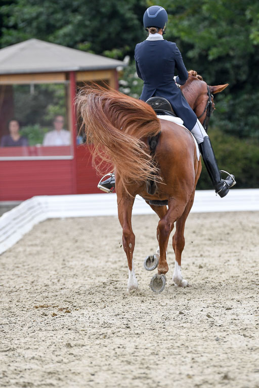 Anakenenhof    Dressur  25.08.2023 | Anakenenhof Prfg 2_345 