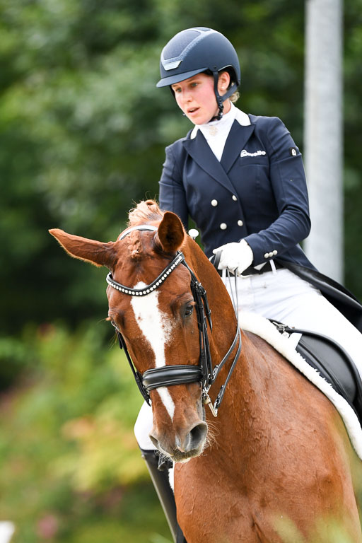 Anakenenhof    Dressur  25.08.2023 | Anakenenhof Prfg 2_355 