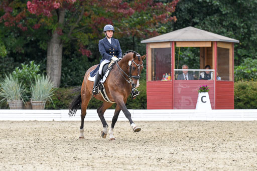 Anakenenhof    Dressur  25.08.2023 | Anakenenhof Prfg 2_369 