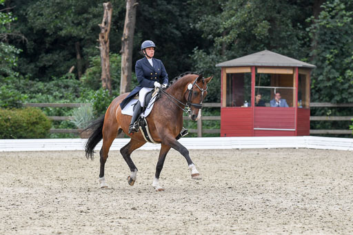 Anakenenhof    Dressur  25.08.2023 | Anakenenhof Prfg 2_370 