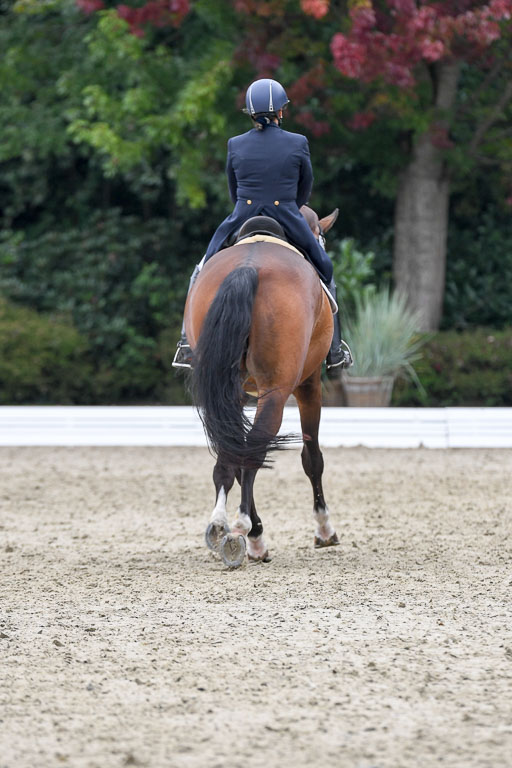 Anakenenhof    Dressur  25.08.2023 | Anakenenhof Prfg 2_372 