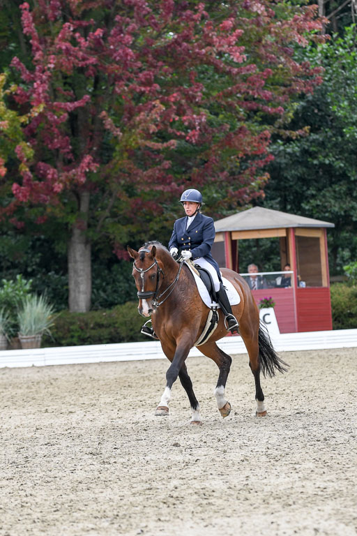 Anakenenhof    Dressur  25.08.2023 | Anakenenhof Prfg 2_373 