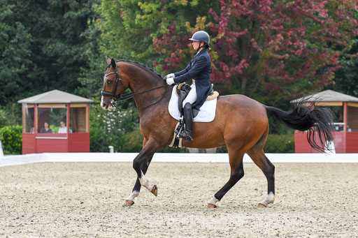 Anakenenhof    Dressur  25.08.2023 | Anakenenhof Prfg 2_374 