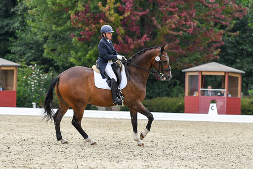 Anakenenhof    Dressur  25.08.2023 | Anakenenhof Prfg 2_377 