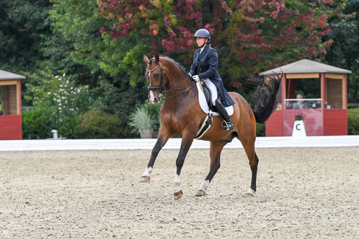 Anakenenhof    Dressur  25.08.2023 | Anakenenhof Prfg 2_380 