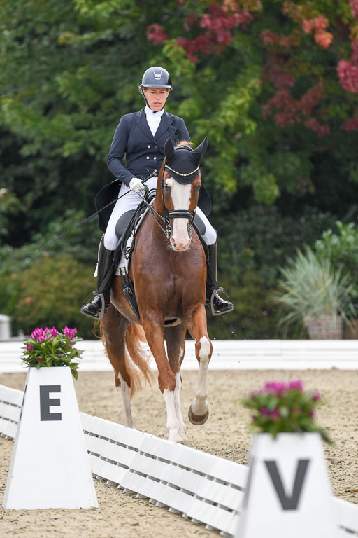 Anakenenhof    Dressur  25.08.2023 | Anakenenhof Prfg 2_384 