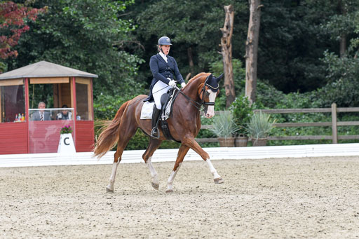 Anakenenhof    Dressur  25.08.2023 | Anakenenhof Prfg 2_389 