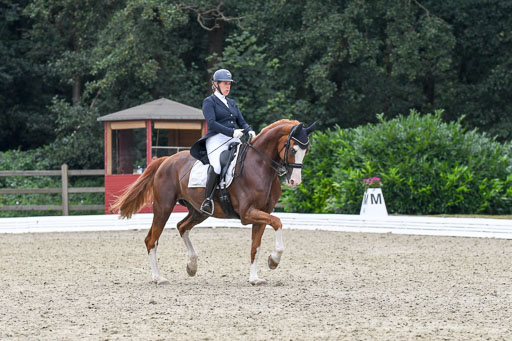 Anakenenhof    Dressur  25.08.2023 | Anakenenhof Prfg 2_390 