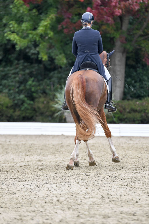 Anakenenhof    Dressur  25.08.2023 | Anakenenhof Prfg 2_394 