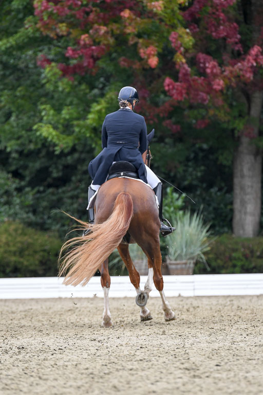 Anakenenhof    Dressur  25.08.2023 | Anakenenhof Prfg 2_397 