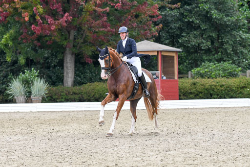Anakenenhof    Dressur  25.08.2023 | Anakenenhof Prfg 2_398 