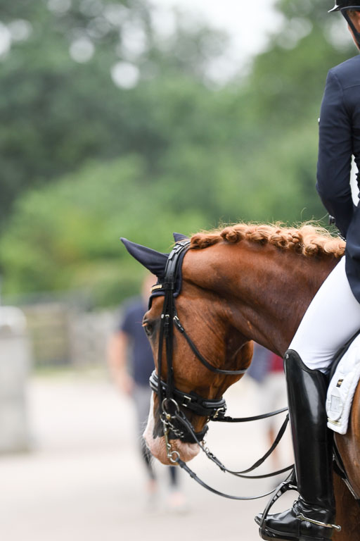 Anakenenhof    Dressur  25.08.2023 | Anakenenhof Prfg 2_421 