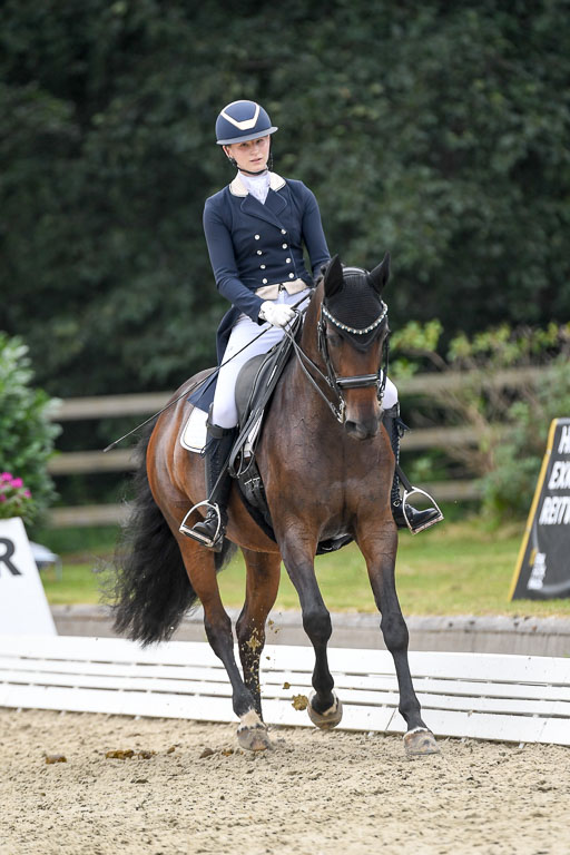 Anakenenhof    Dressur  25.08.2023 | Anakenenhof Prfg 2_423 