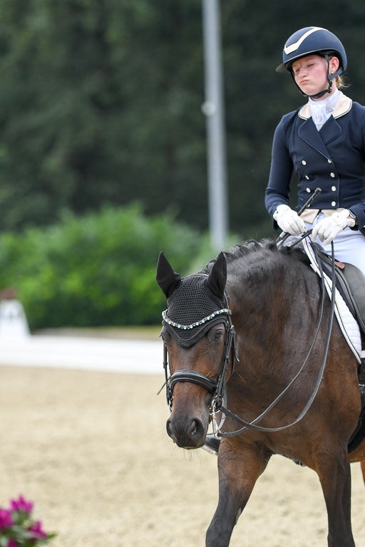 Anakenenhof    Dressur  25.08.2023 | Anakenenhof Prfg 2_445 
