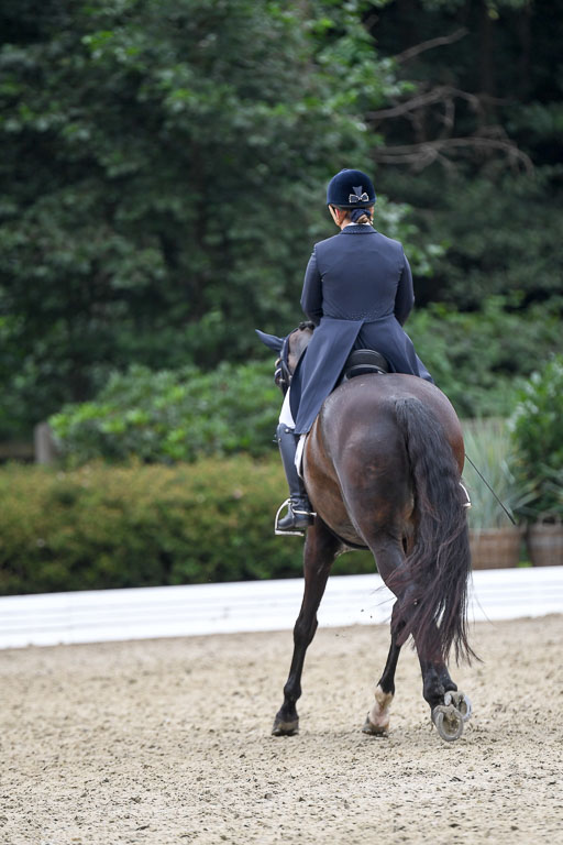 Anakenenhof    Dressur  25.08.2023 | Anakenenhof Prfg 2_458 