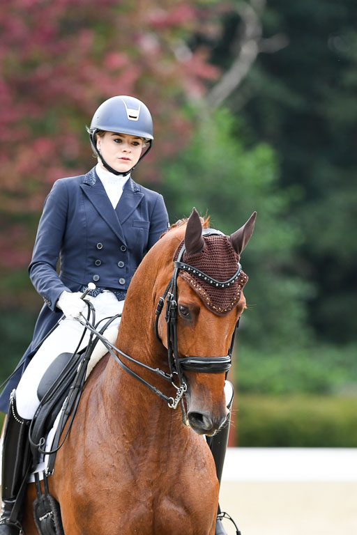 Anakenenhof    Dressur  25.08.2023 | Anakenenhof Prfg 2_472 