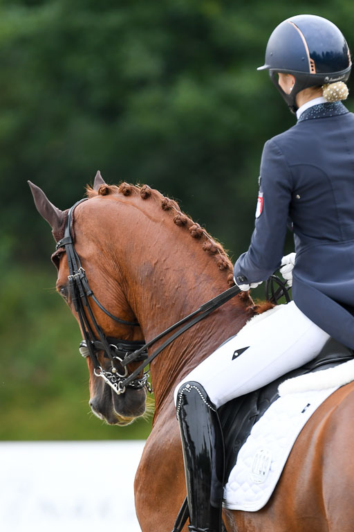 Anakenenhof    Dressur  25.08.2023 | Anakenenhof Prfg 2_473 