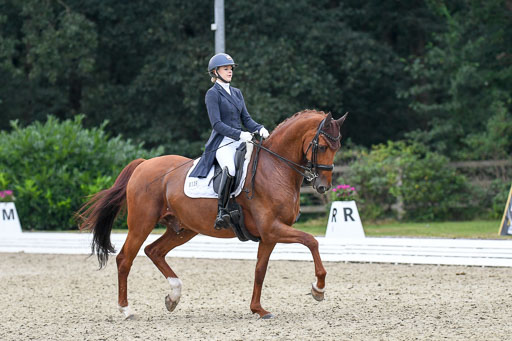 Anakenenhof    Dressur  25.08.2023 | Anakenenhof Prfg 2_474 