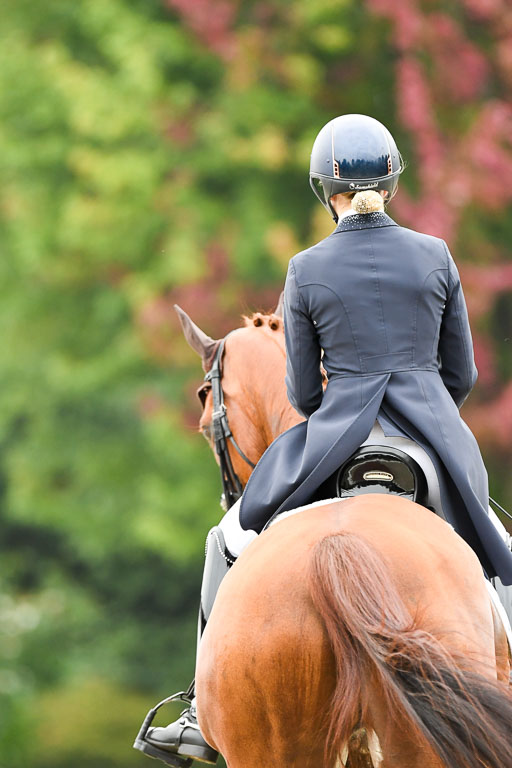 Anakenenhof    Dressur  25.08.2023 | Anakenenhof Prfg 2_482 