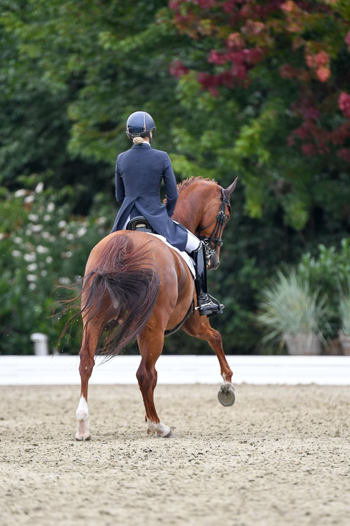 Anakenenhof    Dressur  25.08.2023 | Anakenenhof Prfg 2_483 