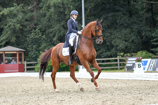 Anakenenhof    Dressur  25.08.2023 | Anakenenhof Prfg 2_488 