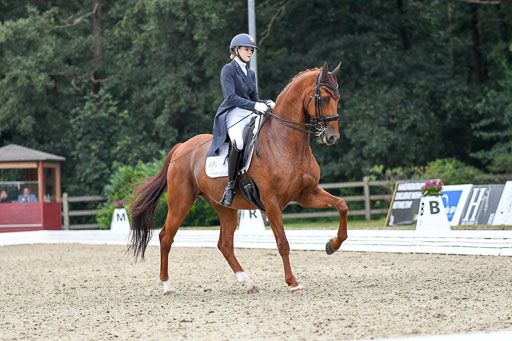 Anakenenhof    Dressur  25.08.2023 | Anakenenhof Prfg 2_489 