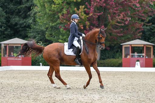 Anakenenhof    Dressur  25.08.2023 | Anakenenhof Prfg 2_492 