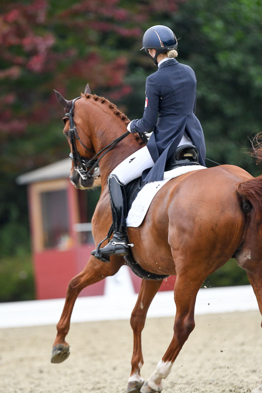 Anakenenhof    Dressur  25.08.2023 | Anakenenhof Prfg 2_493 