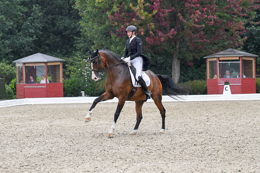 Anakenenhof    Dressur  25.08.2023 | Anakenenhof Prfg 2_519 