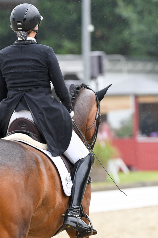 Anakenenhof    Dressur  25.08.2023 | Anakenenhof Prfg 2_521 