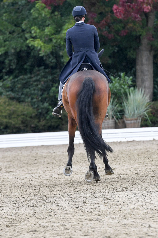 Anakenenhof    Dressur  25.08.2023 | Anakenenhof Prfg 2_534 