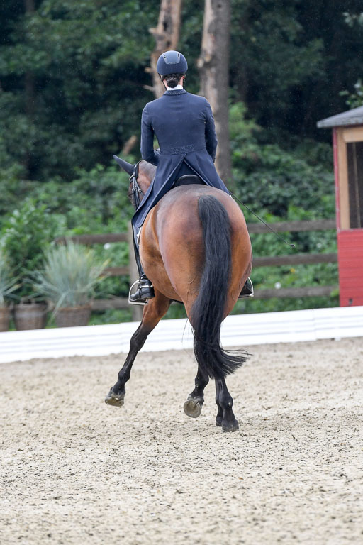 Anakenenhof    Dressur  25.08.2023 | Anakenenhof Prfg 2_536 