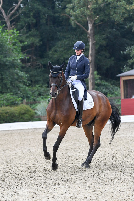 Anakenenhof    Dressur  25.08.2023 | Anakenenhof Prfg 2_540 
