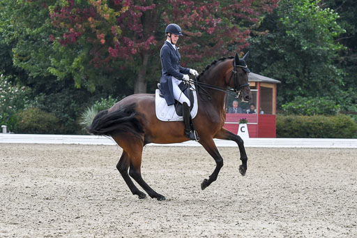 Anakenenhof    Dressur  25.08.2023 | Anakenenhof Prfg 2_541 