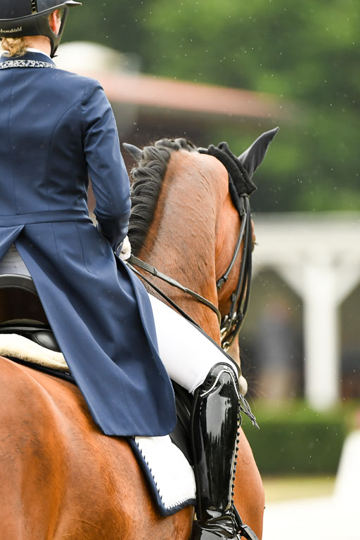 Anakenenhof    Dressur  25.08.2023 | Anakenenhof Prfg 2_565 