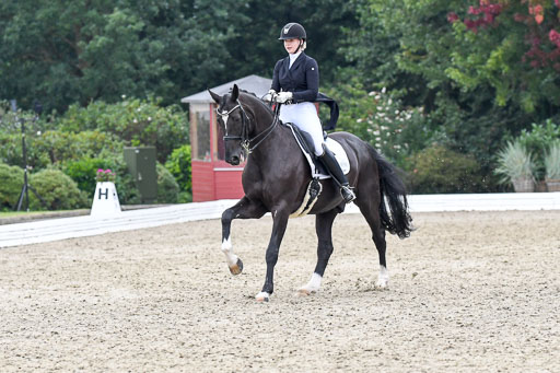 Anakenenhof    Dressur  25.08.2023 | Anakenenhof Prfg 2_578 