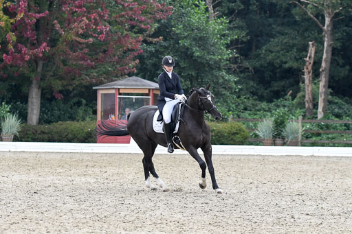 Anakenenhof    Dressur  25.08.2023 | Anakenenhof Prfg 2_579 