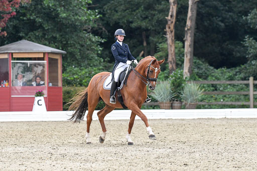 Anakenenhof    Dressur  25.08.2023 | Anakenenhof Prfg 2_593 