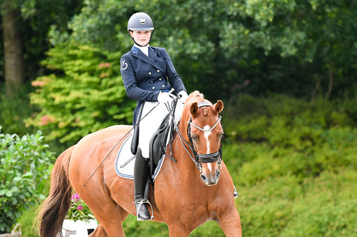 Anakenenhof    Dressur  25.08.2023 | Anakenenhof Prfg 2_596 