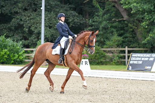 Anakenenhof    Dressur  25.08.2023 | Anakenenhof Prfg 2_617 