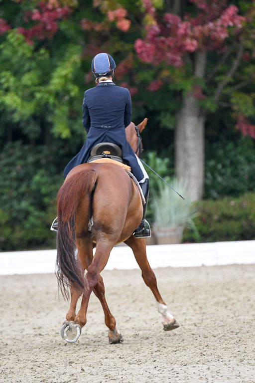 Anakenenhof    Dressur  25.08.2023 | Anakenenhof Prfg 2_622 