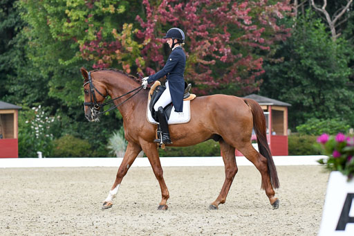 Anakenenhof    Dressur  25.08.2023 | Anakenenhof Prfg 2_624 