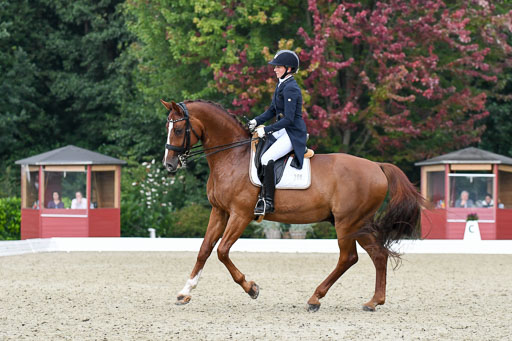Anakenenhof    Dressur  25.08.2023 | Anakenenhof Prfg 2_625 