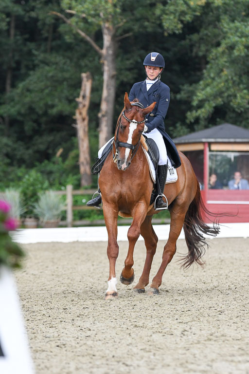 Anakenenhof    Dressur  25.08.2023 | Anakenenhof Prfg 2_628 