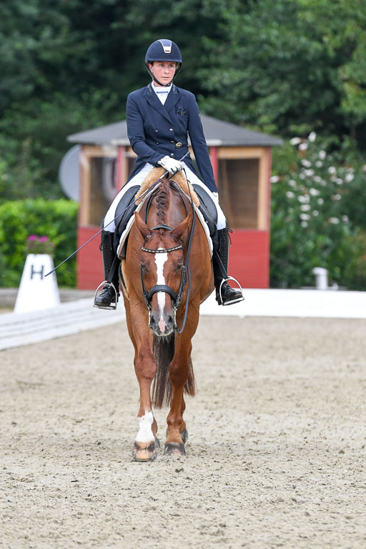 Anakenenhof    Dressur  25.08.2023 | Anakenenhof Prfg 2_637 