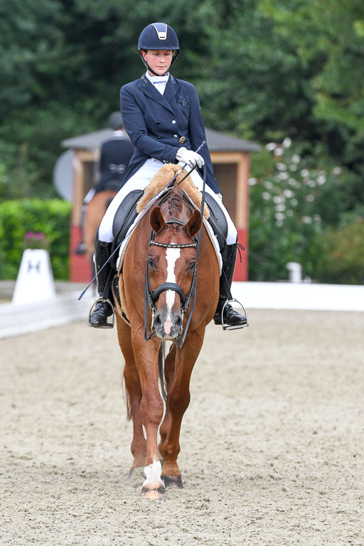Anakenenhof    Dressur  25.08.2023 | Anakenenhof Prfg 2_638 