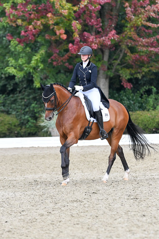 Anakenenhof    Dressur  25.08.2023 | Anakenenhof Prfg 2_642 